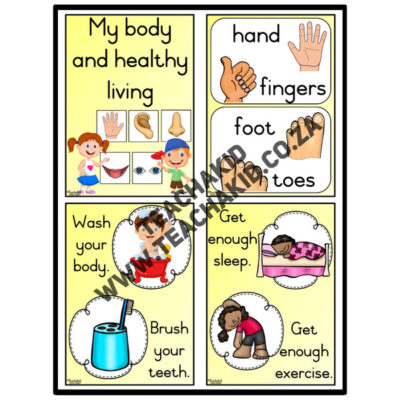 Body and Healthy Living - Life Skills theme (PDF) - Image 2