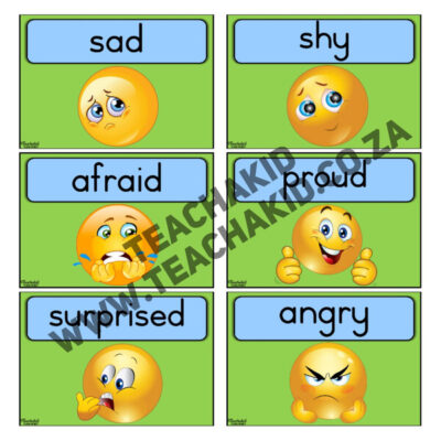 Feelings - Life Skills theme (PDF) - Image 2