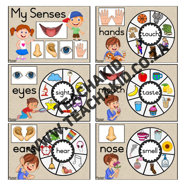 Senses – Life Skills theme (PDF)