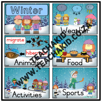 Winter - Life Skills theme (PDF) - Image 2