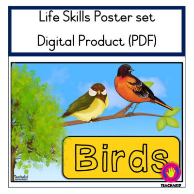 Birds - Life Skills theme (PDF)