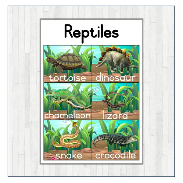 Reptiles Poster (printed)