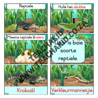 Reptiele - Temaprente (PDF) - Image 2