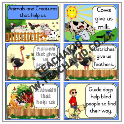 Animals that help us - Life Skills theme (PDF) - Image 2