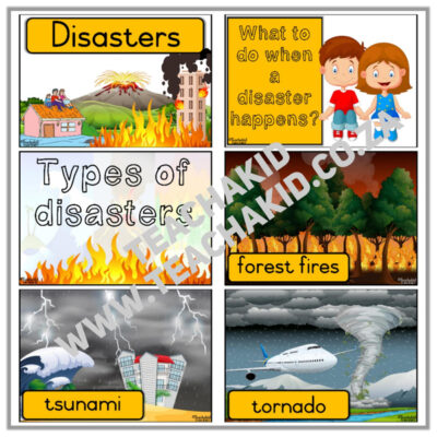 Disasters - Life Skills theme (PDF) - Image 2