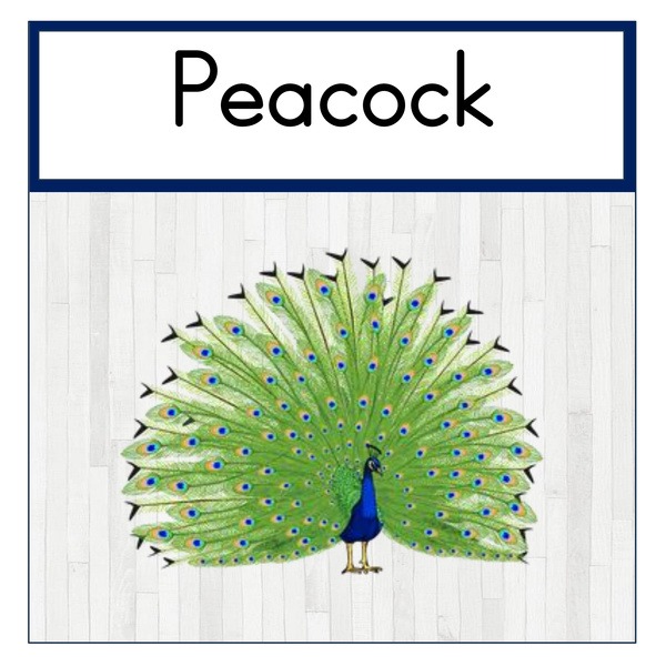 Peacock Class Theme Set (printed)