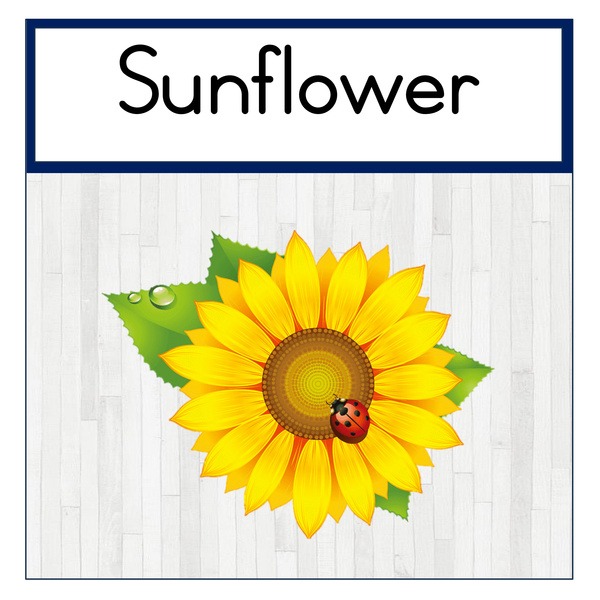Sunflower Class Theme Set (printed)