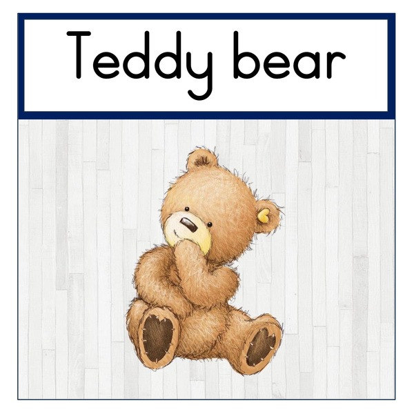Teddy Bear Class Theme Set (printed)