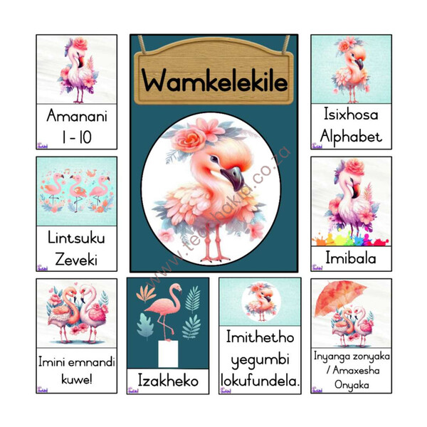 Flamingo Theme Set in Xhosa – Preschool (printed)