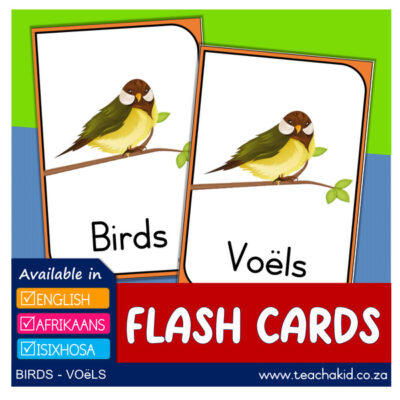 Voëls - Birds - Izinyoni (digital)