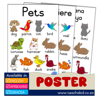 Pets - Troeteldiere - Izilwanyana Zasekhaya