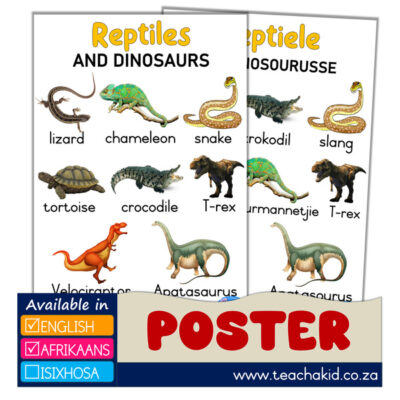 Reptiles and dinosaurs - Reptiele en dinosourusse
