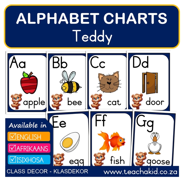 Teddy – Teddie